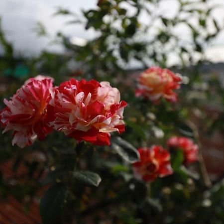 Homestay Doc Tinh Dalat Exterior foto