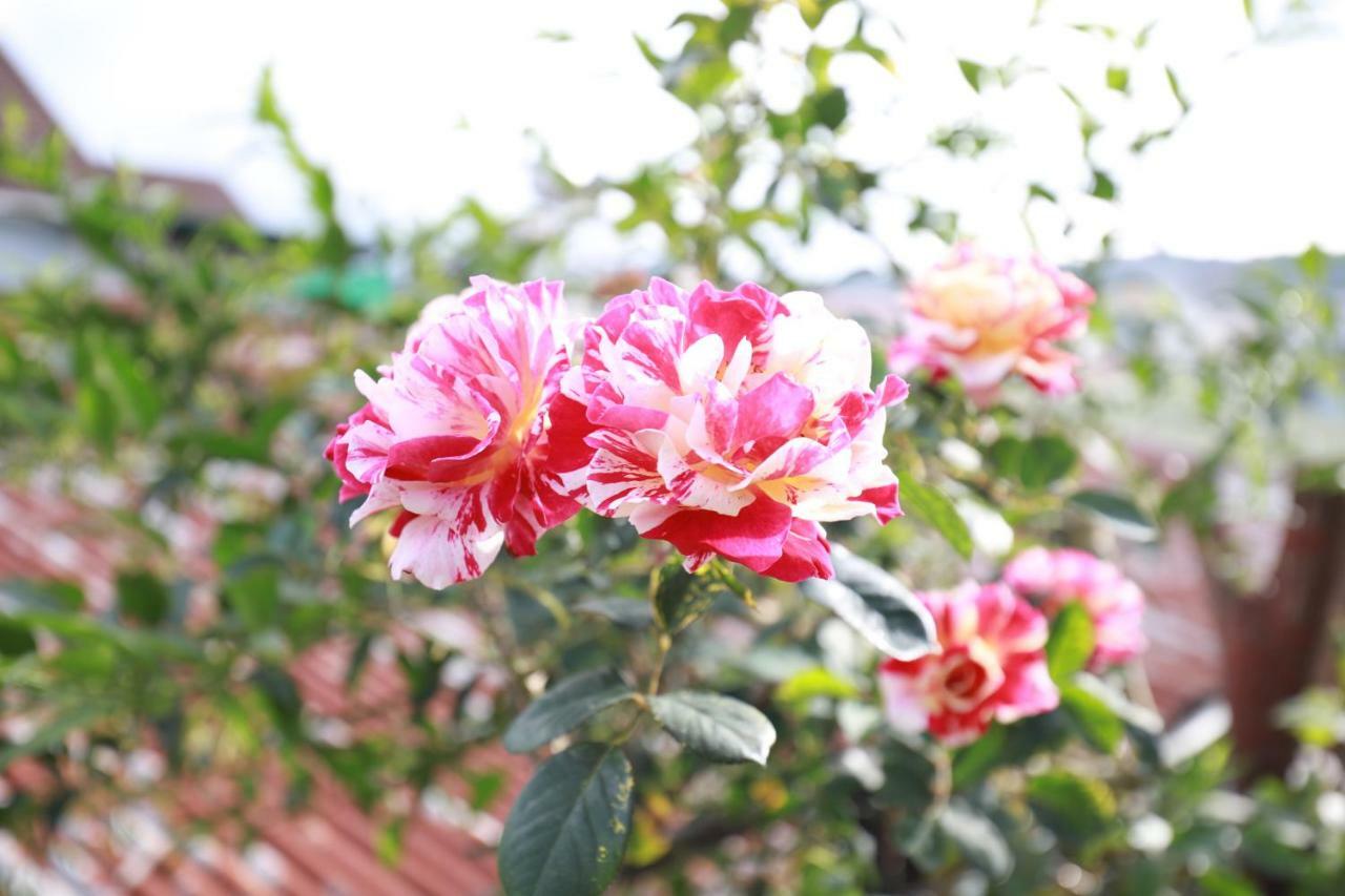 Homestay Doc Tinh Dalat Exterior foto